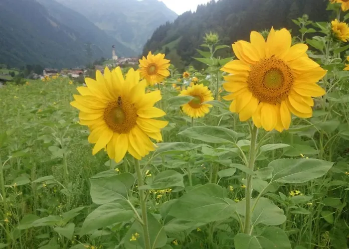 Hotel Garni Angerer